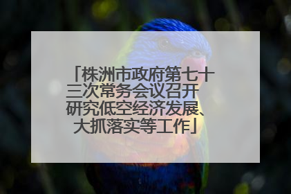 株洲市政府第七十三次常务会议召开 研究低空经济发展、大抓落实等工作